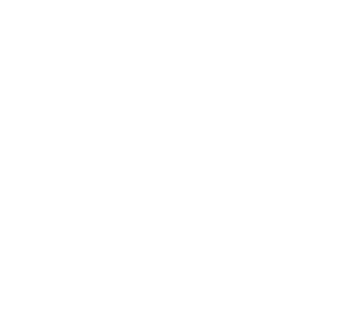 Parceiro Ton